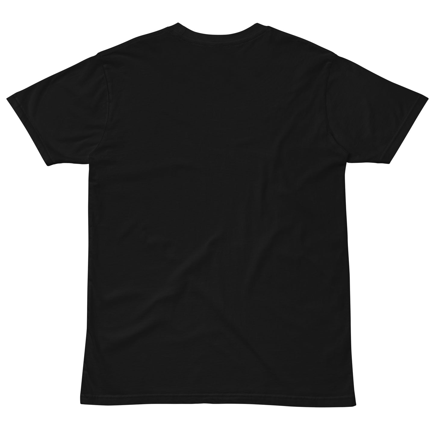 KI V6 Unisex premium t-shirt