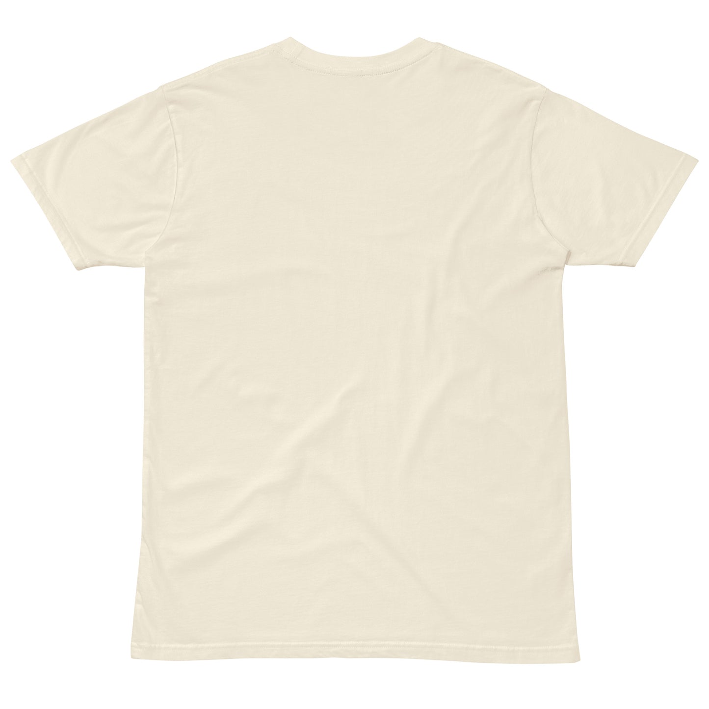 KI V6 Unisex premium t-shirt